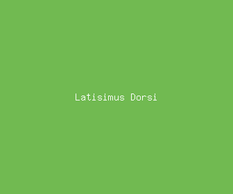 latisimus dorsi meaning, definitions, synonyms